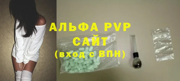 стаф Арсеньев