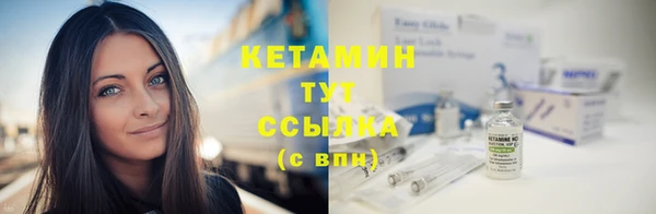 твердый Аркадак