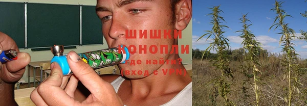 твердый Аркадак