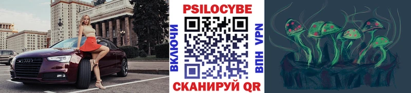 Галлюциногенные грибы Cubensis  blacksprut   Волжск 